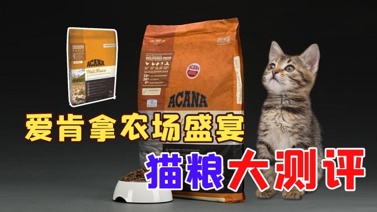 ACANA爱肯拿猫粮怎么样爱肯拿猫粮全面测评