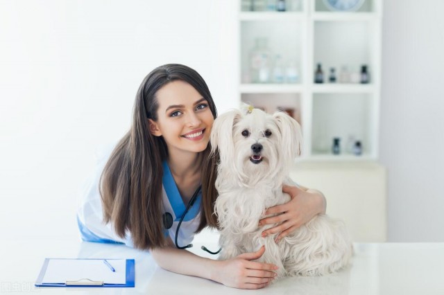 蜱虫的特征有哪些？蜱虫对宠物犬的危害以及狗患蜱病后的治疗方法